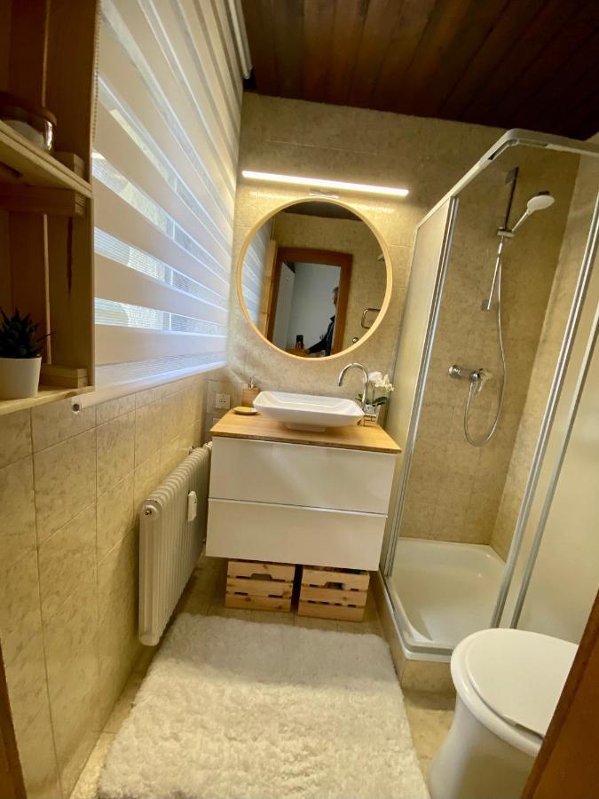 Studio Apartment Bkk Bad Kleinkirchheim Zewnętrze zdjęcie